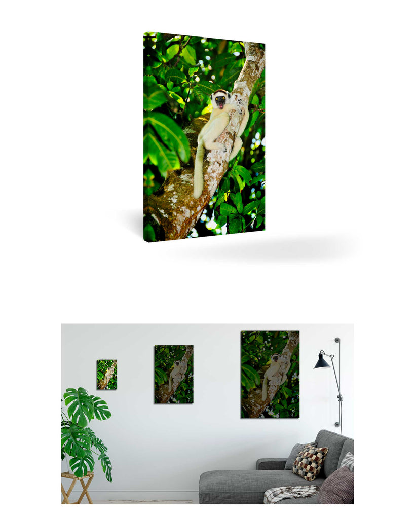 Tolagnaro, Madagaskar