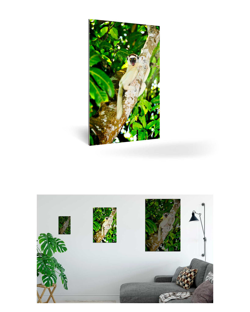 Tolagnaro, Madagaskar