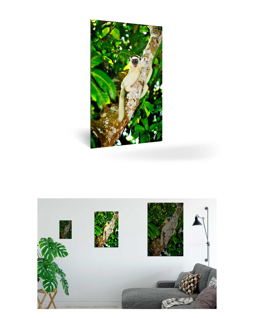 Tolagnaro, Madagaskar