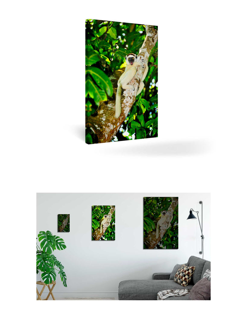 Tolagnaro, Madagaskar