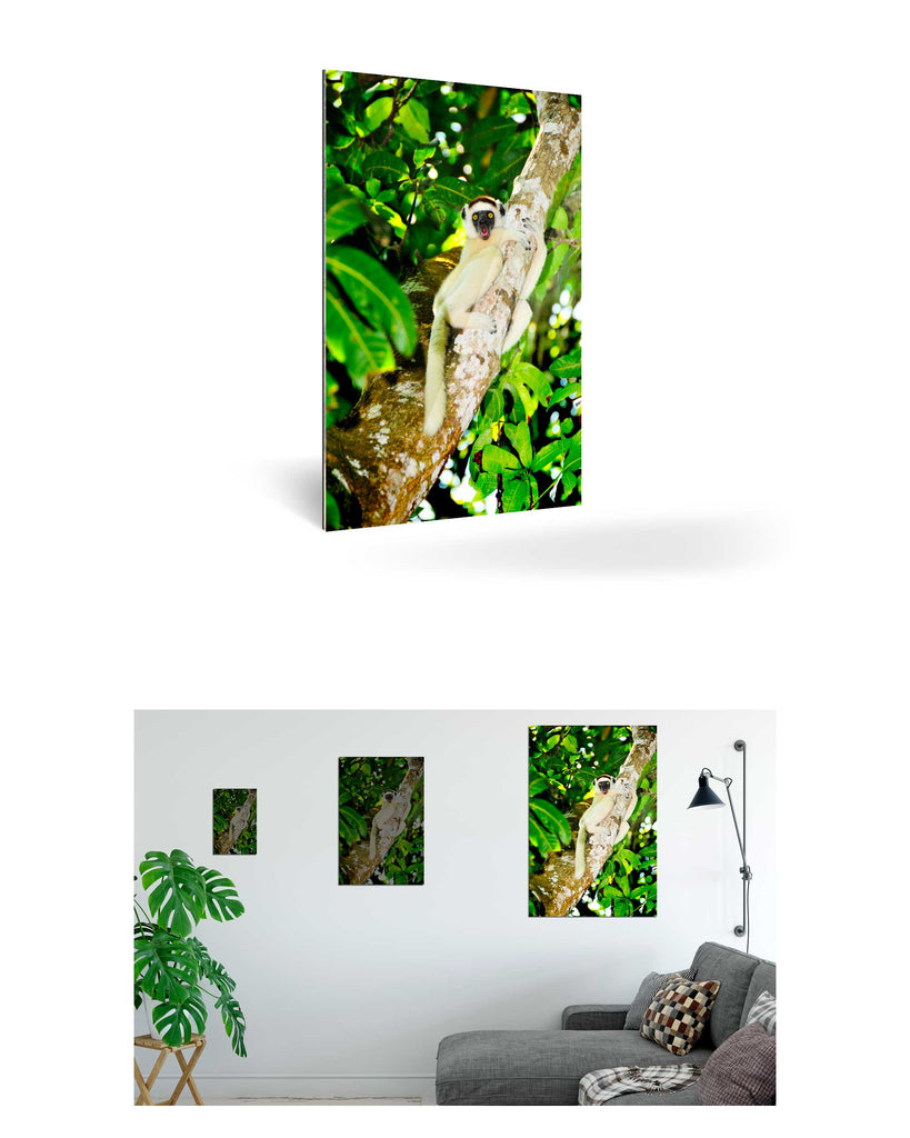 Tolagnaro, Madagaskar