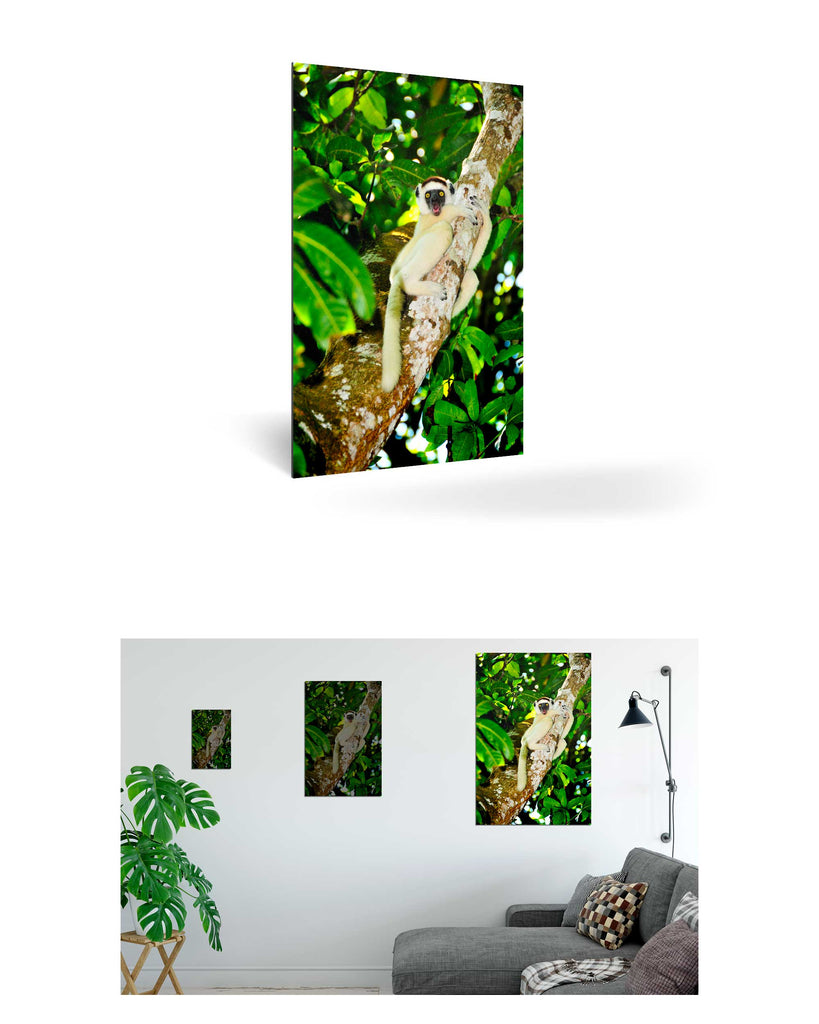 Tolagnaro, Madagaskar