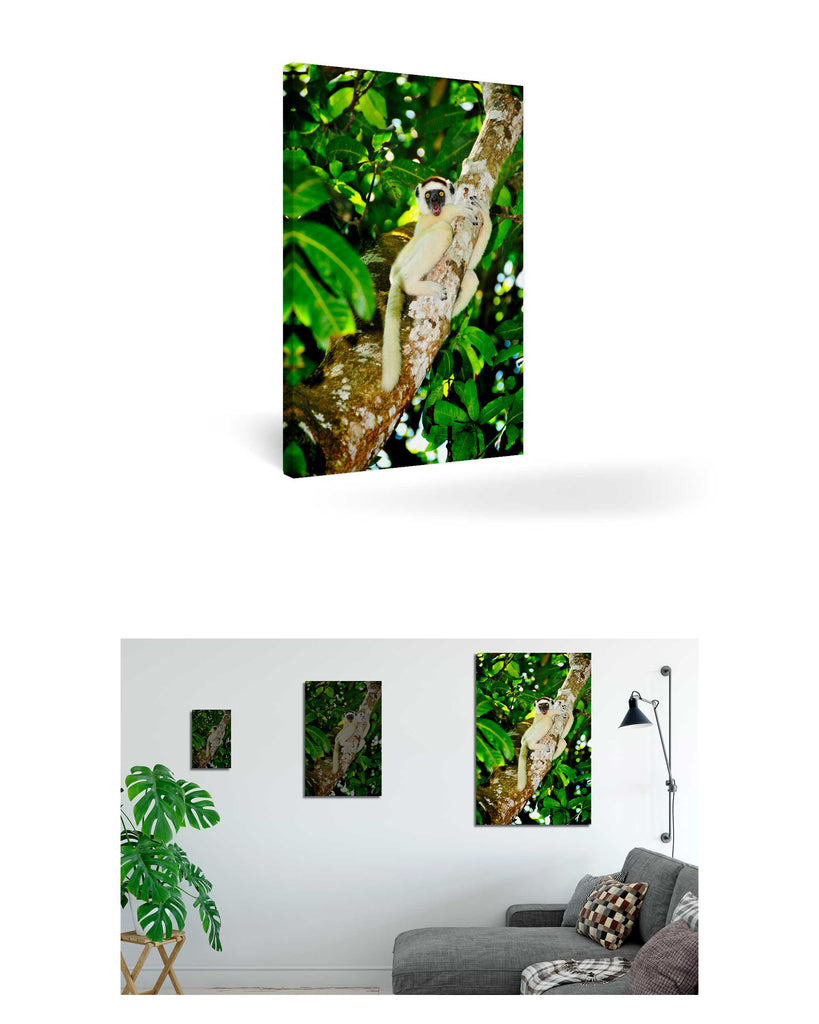 Tolagnaro, Madagaskar