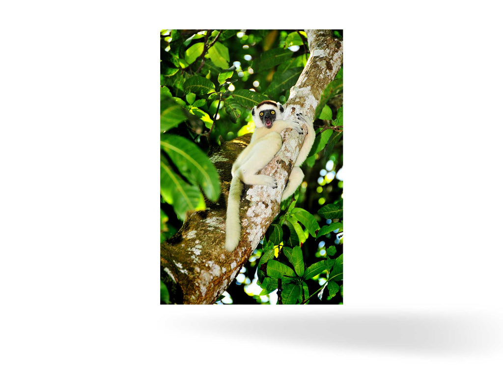 Tolagnaro, Madagaskar