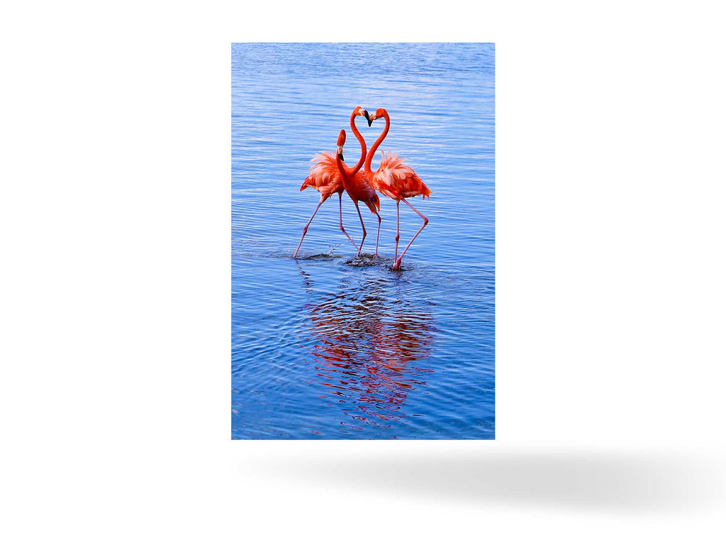 Kralendji, BES-Inseln