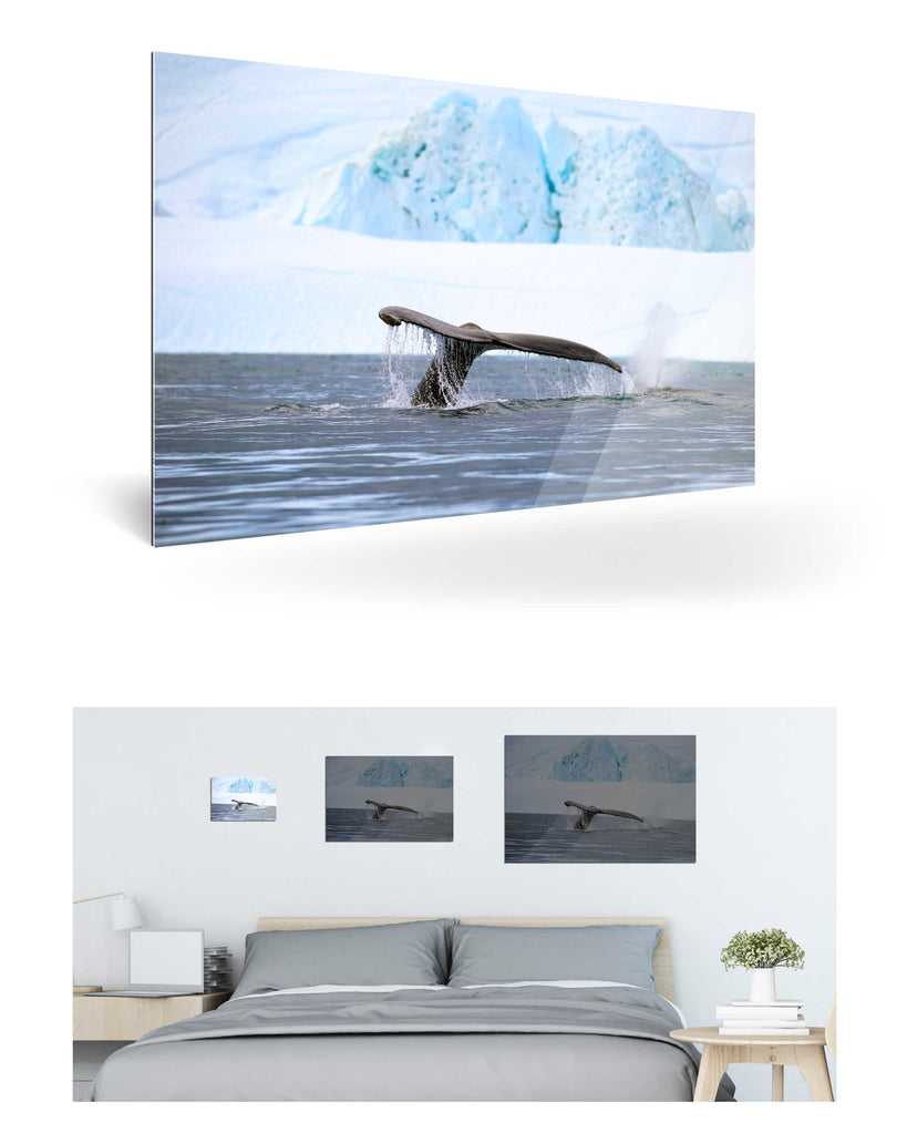 Ilulissat, Grönland