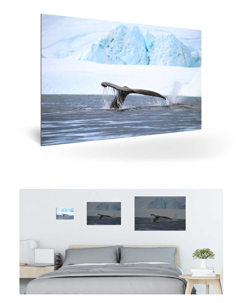 Ilulissat, Grönland