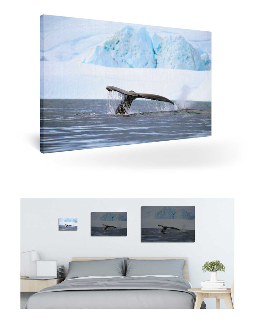 Ilulissat, Grönland