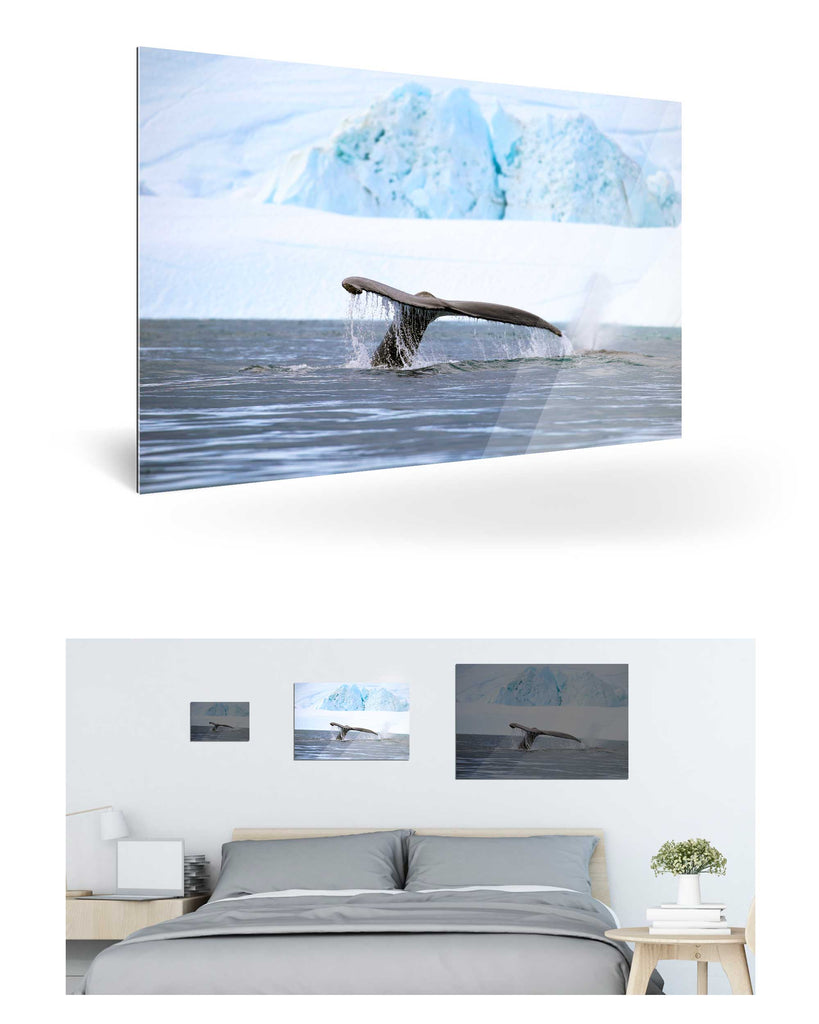 Ilulissat, Grönland