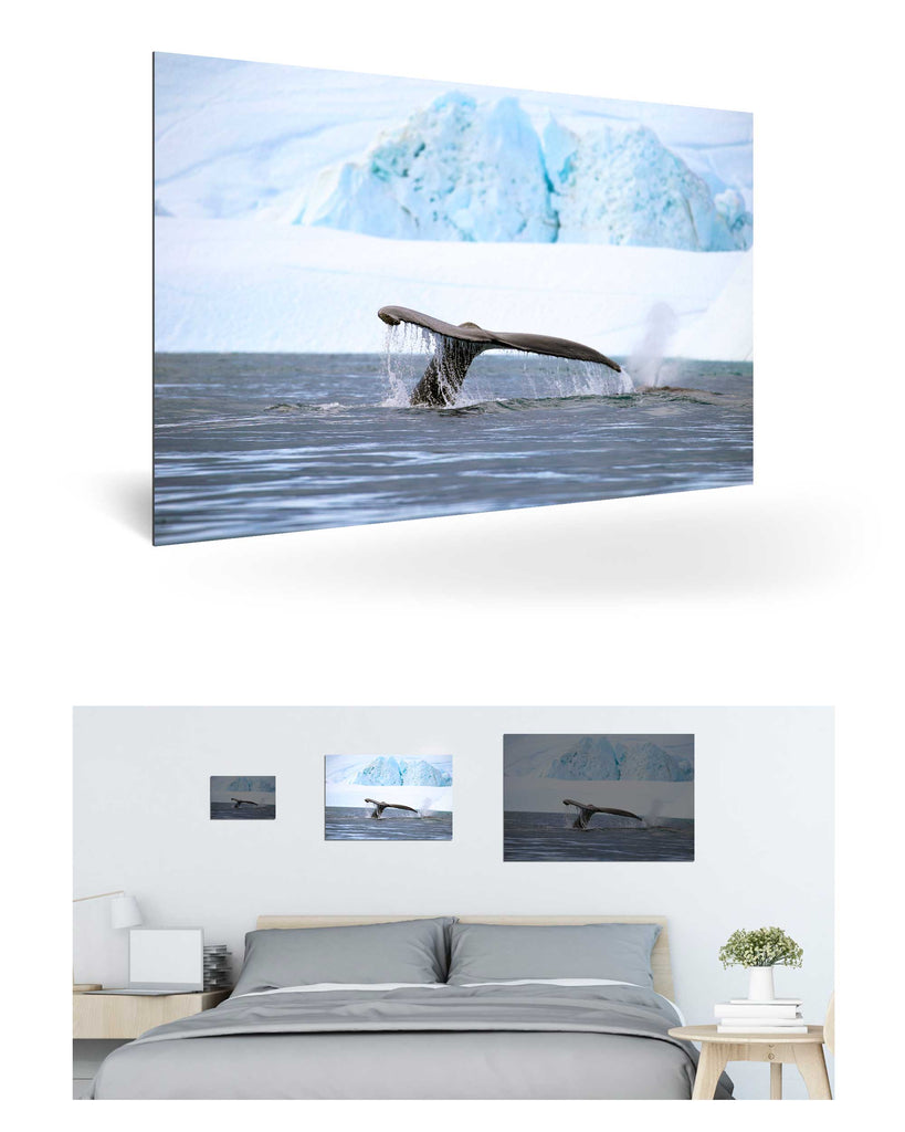 Ilulissat, Grönland