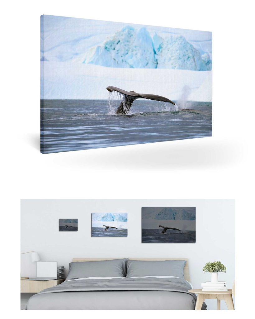 Ilulissat, Grönland