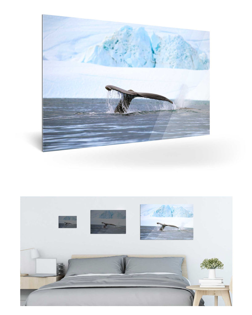 Ilulissat, Grönland