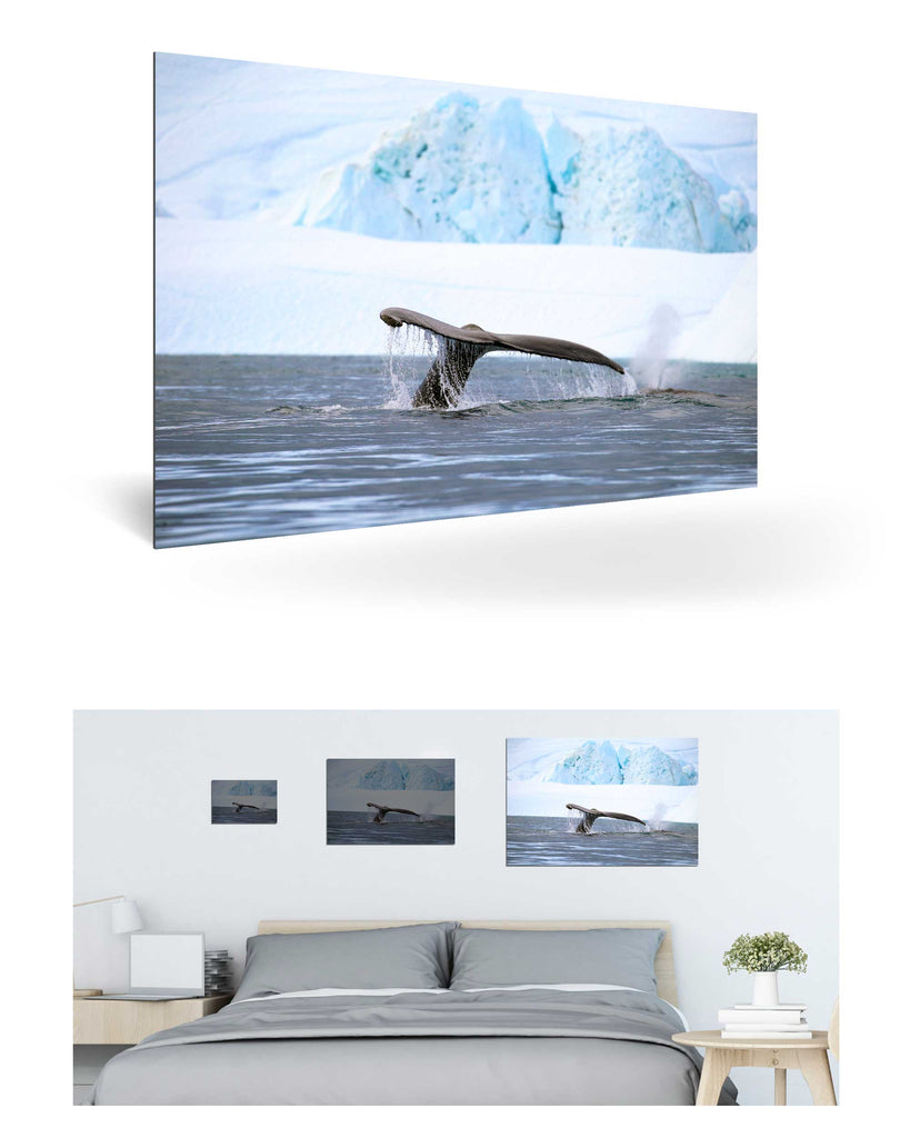 Ilulissat, Grönland