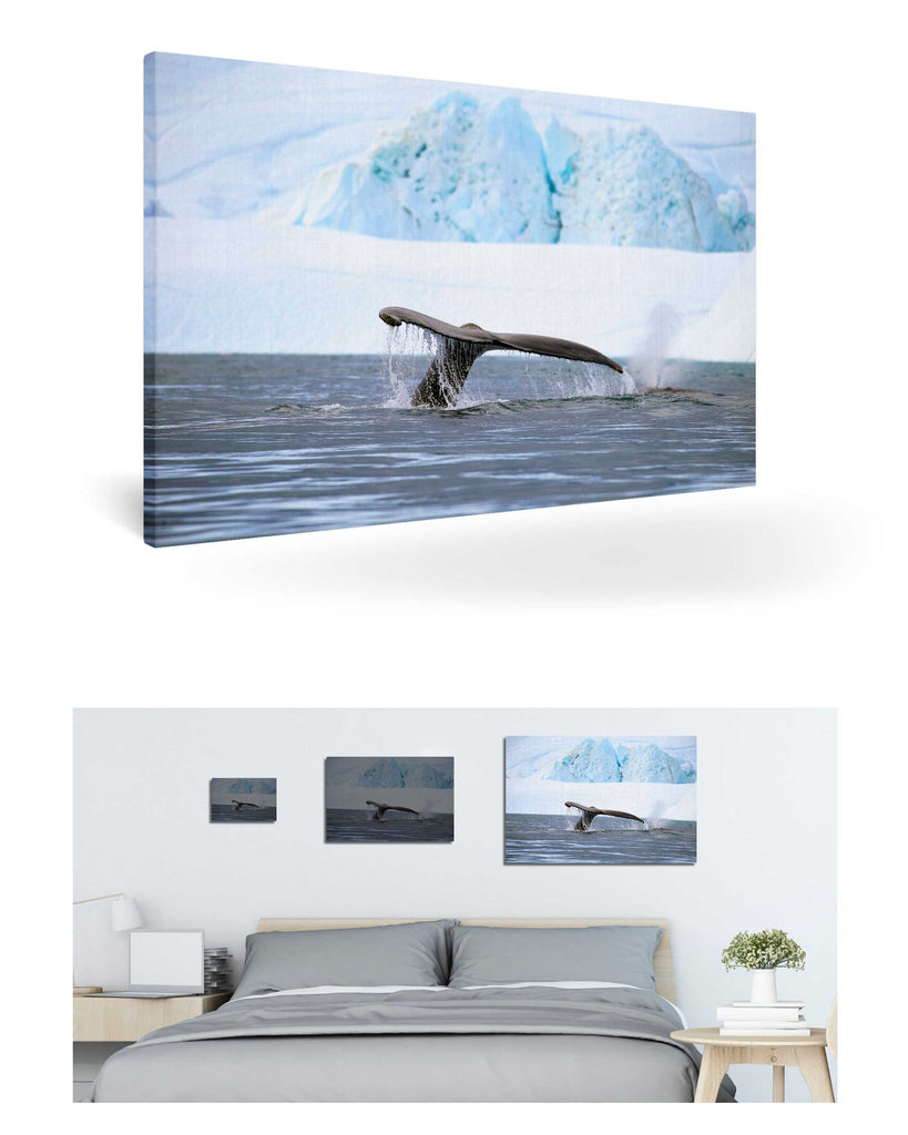 Ilulissat, Grönland