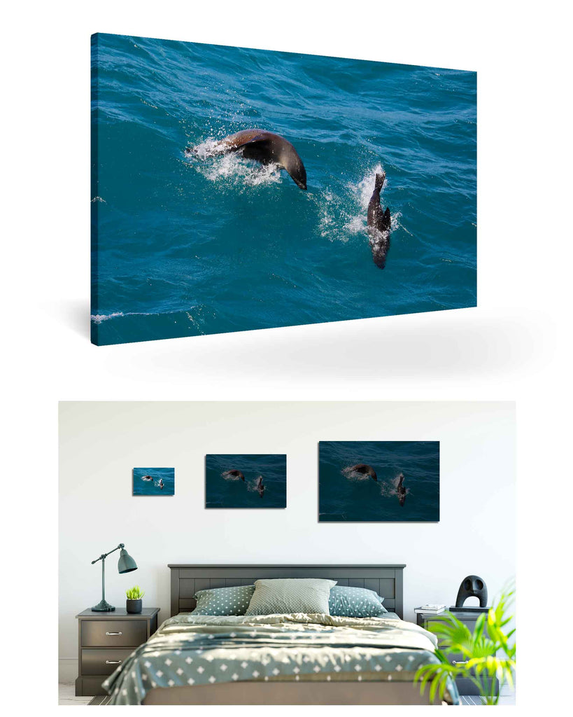 West Point Island, Falklandinseln