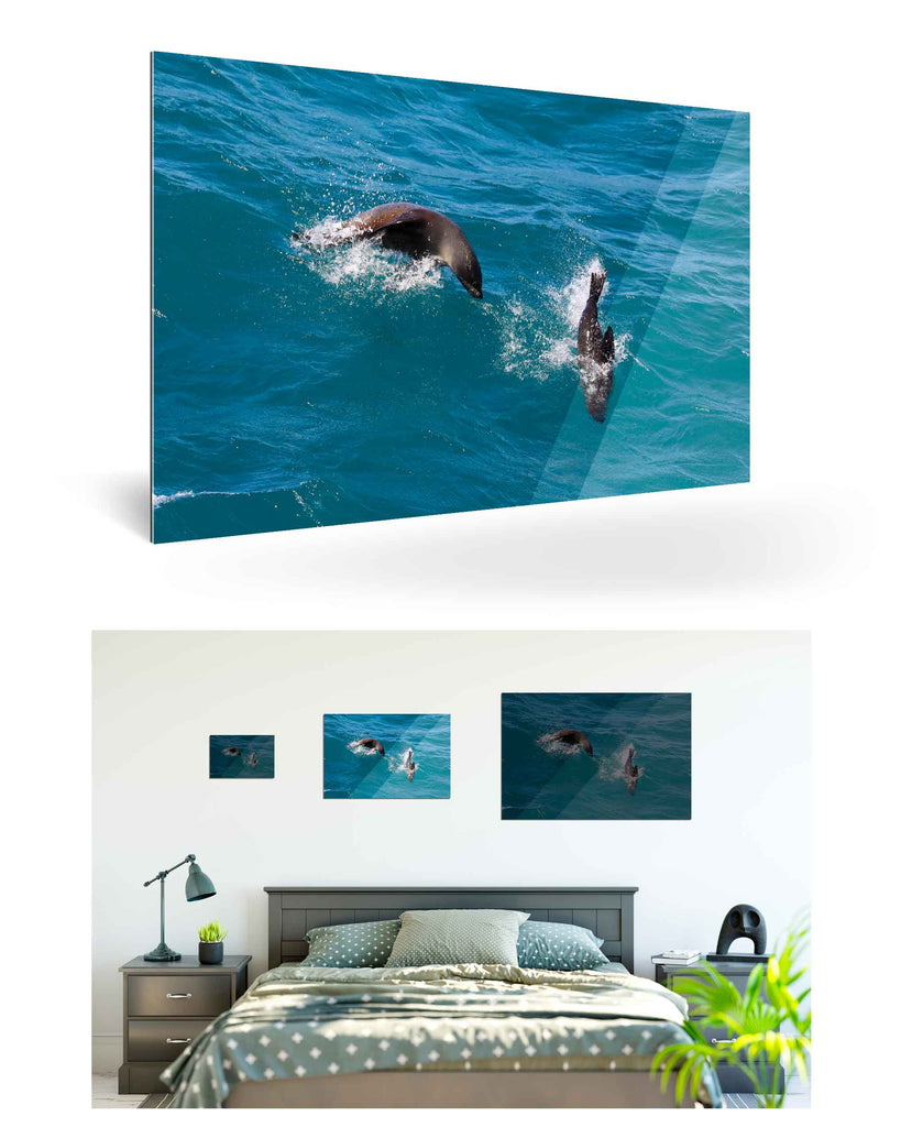 West Point Island, Falklandinseln