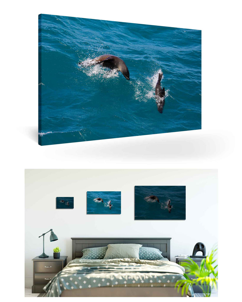 West Point Island, Falklandinseln