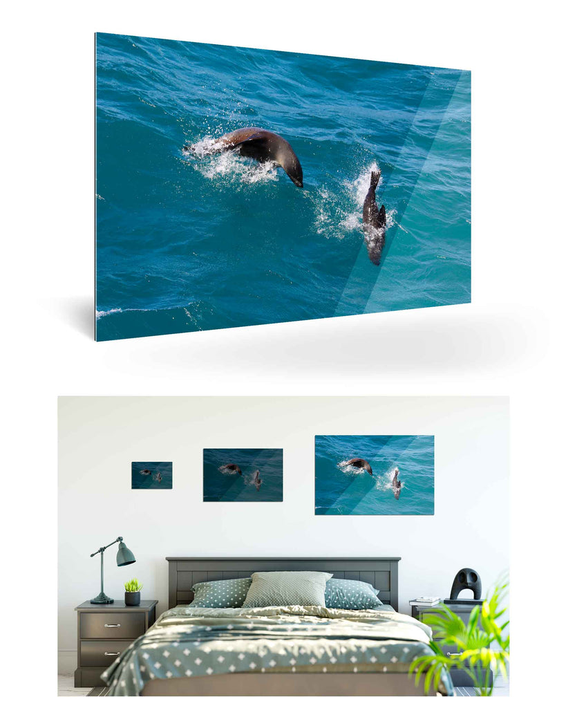 West Point Island, Falklandinseln