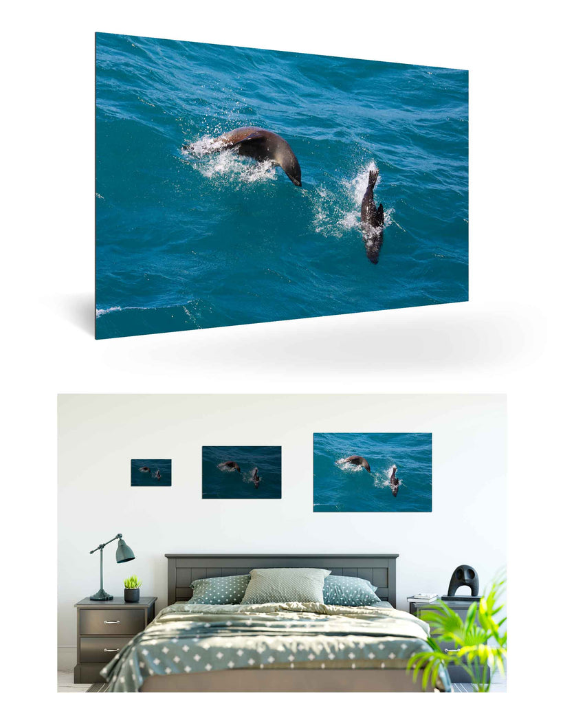 West Point Island, Falklandinseln