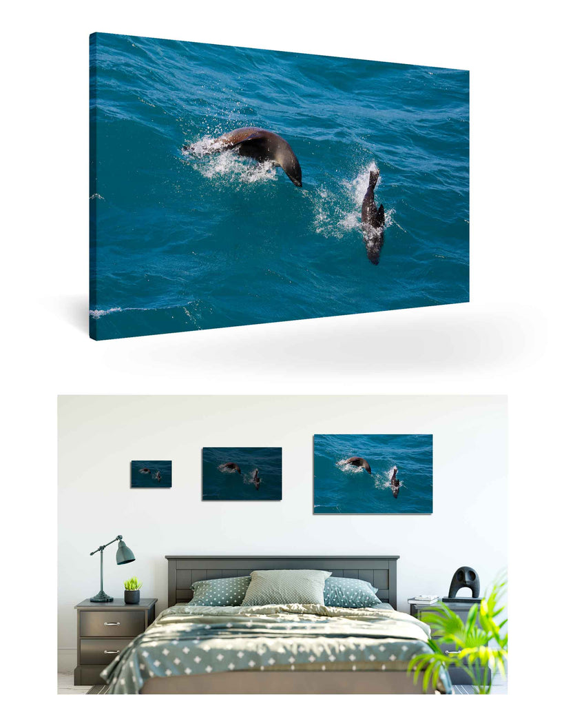 West Point Island, Falklandinseln